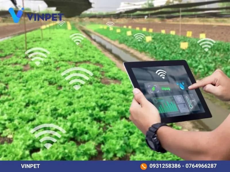 Giao diện Dashboard phân tích và cảnh báo