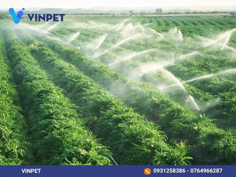 Vai trò của hệ thống cung cấp chất lỏng trong trang trại hiện đại
