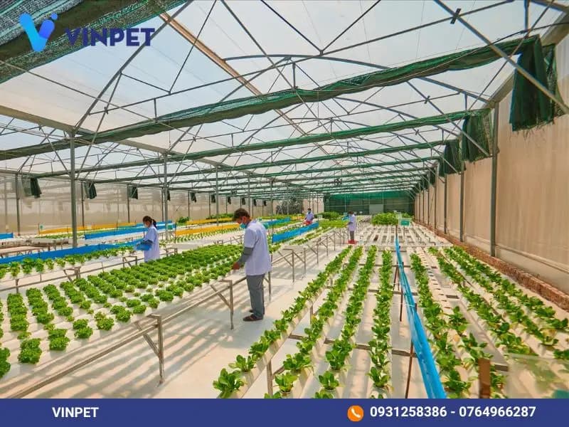Lợi ích khi triển khai hệ thống cung cấp chất lỏng trong trang trại