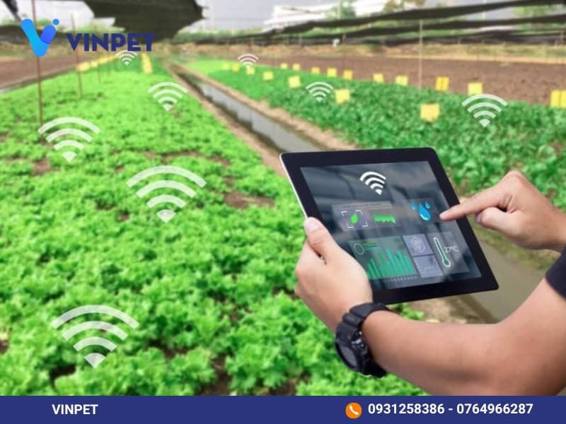 Lợi ích của IoT trong quản lý trang trại giúp phát hiện sớm rủi ro