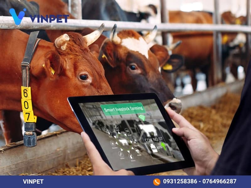 Ứng dụng công nghệ trong trang trại thông minh trong quản lý vật nuôi và cây trồng dựa trên dữ liệu